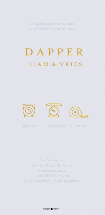 Geboortekaartje met vintage ooievaar in goudfolie of in onze andere varianten foliedruk. Langwerpig staand model dat in elke gewenste kleur gedrukt kan worden. Vraag eens een gratis proefkaart aan en bekijk zelf eens de prachtige kwaliteit van het geboort