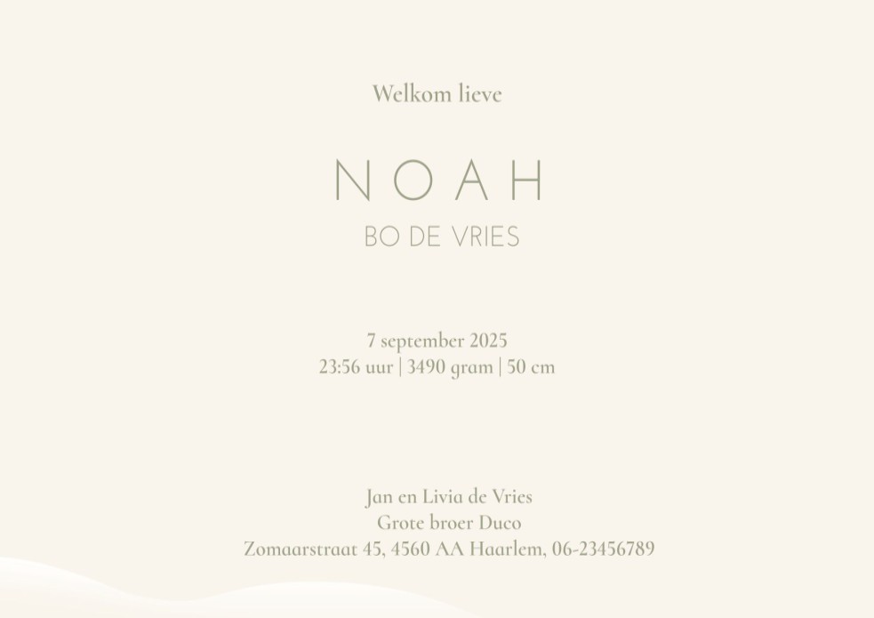 Geboortekaartje ooievaar met baby in de wolken. De kleur van de draagzak en huidskleur baby kunnen aangepast worden. Lieve pastel tinten en de ballonnen maken het extra feestelijk. Vraag eens een proefdruk aan.