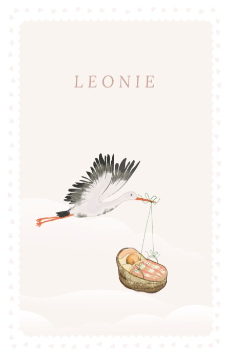 Geboortekaartje ooievaar met baby in mandje