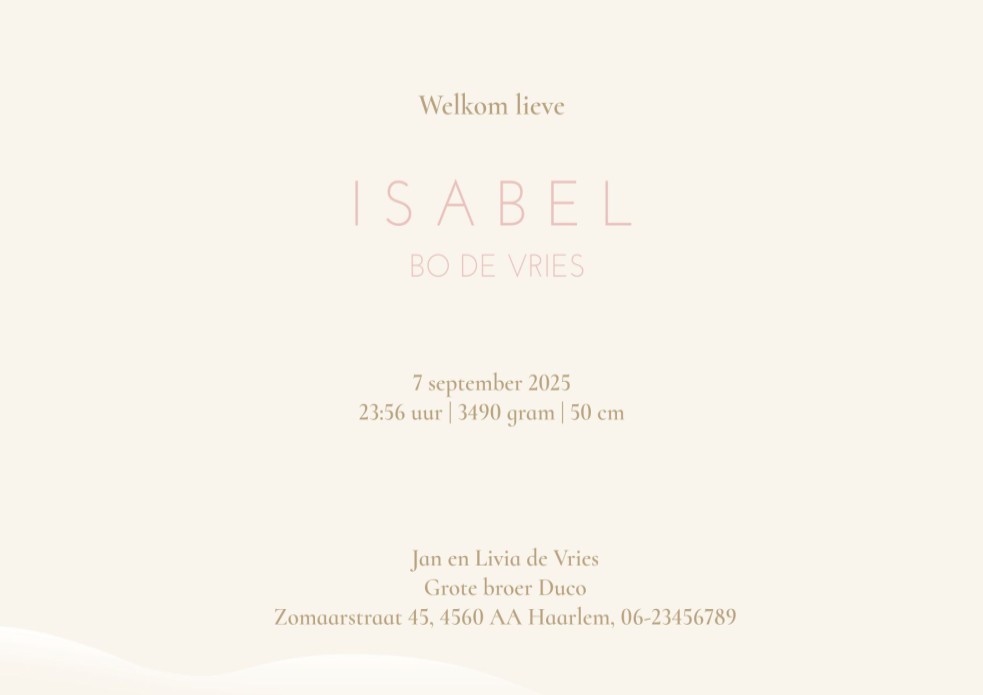 Geboortekaartje ooievaar met baby in de wolken. De kleur van de draagzak en huidskleur baby kunnen aangepast worden. Lieve pastel tinten en de ballonnen maken het extra feestelijk. Vraag eens een proefdruk aan.