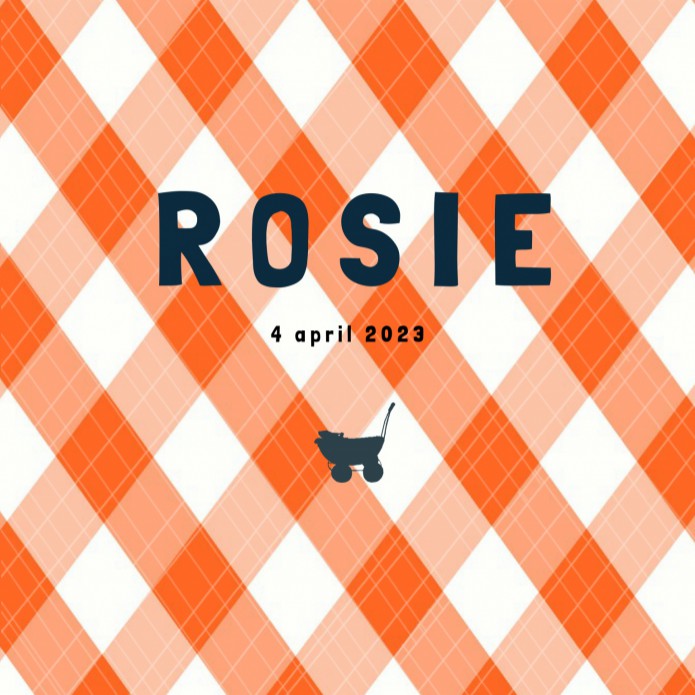 Geboortekaartje oranje ruit