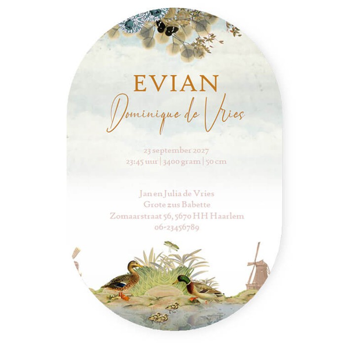 Ovaal geboortekaartje molens, een heel bijzonder formaat geboortekaartje. De ovale vorm geeft een zacht uiterlijk aan het kaartje. De Hollandse sloot met eendjes en molens zijn een romantisch tafereeltje. Laat eens een proefkaartje maken.