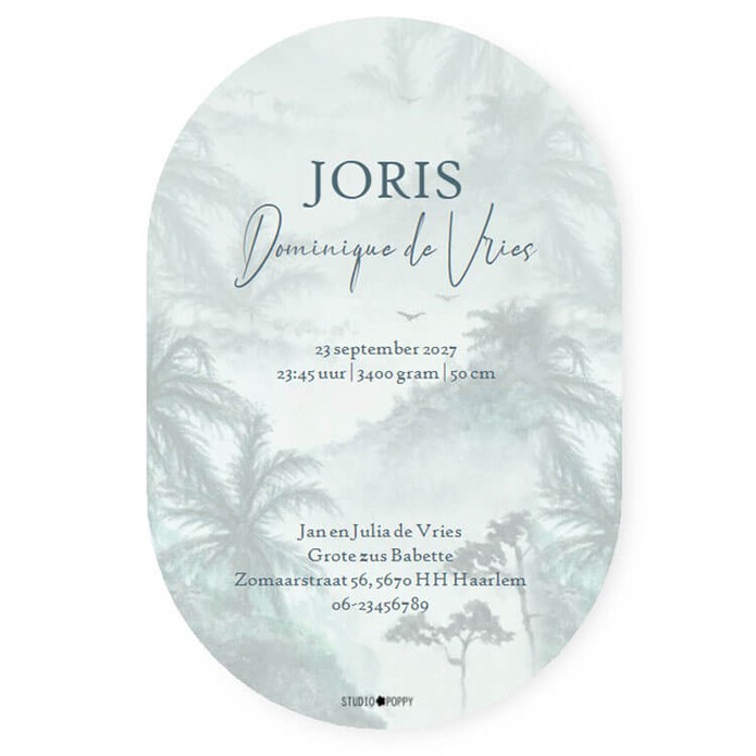 Uniek geboortekaartje in ovaal vorm gestanst. Luchtballon dat over de jungle vliegt is een illustratief vintage retro geboortekaartje in prachtige kleuren. Je kunt zelf in de editor tekst en afbeeldingen aanpassen. Vraag eens een proefdruk aan en laat hem