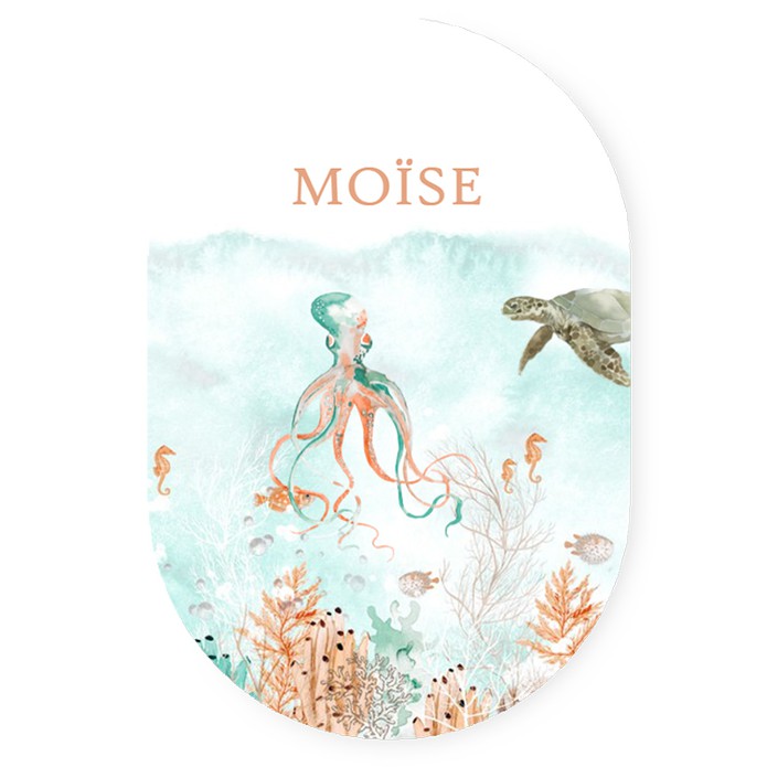 Ovaal geboortekaartje onderwater wereld in pastel tinten. Er is allerlei beeldmateriaal aanwezig zoals een schildpad, orka, zeehond, octopus, zeemeeuw. Ontwerp zelf jouw unieke geboortekaartje en laat eens een proefdruk maken.