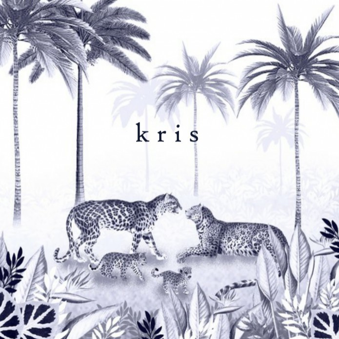 Geboortekaartje 2 panter welpjes in de jungle