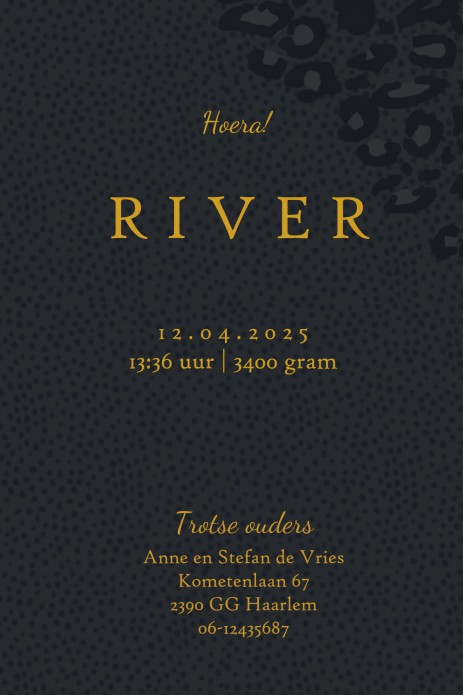 kaart binnenzijde links