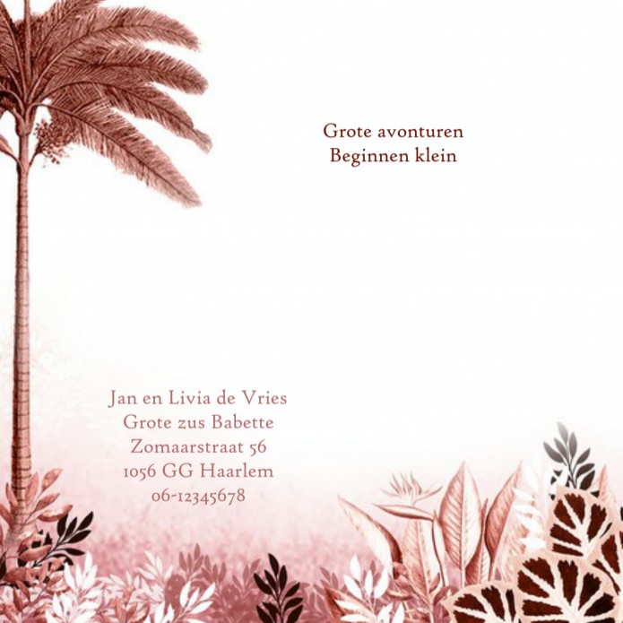 kaart binnenzijde links