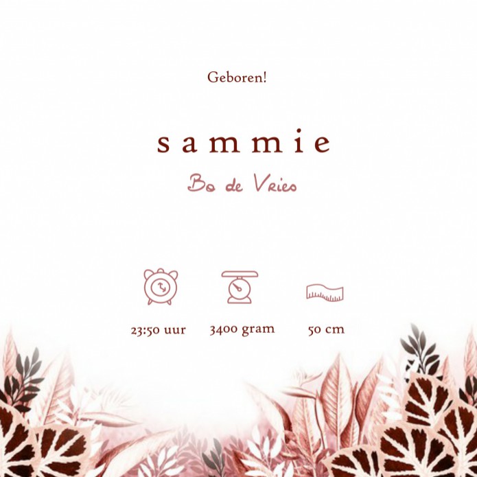 kaart binnenzijde rechts