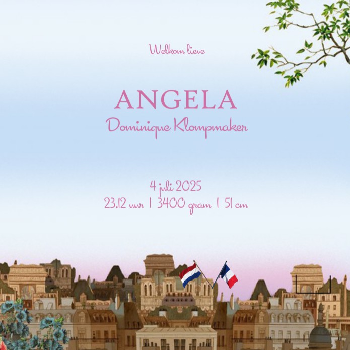 Geboortekaartje Parijs met de Eiffeltoren. Karakteristieke huizen en bloemen maken het een heel herkenbaar tafereel. De Nederlandse en Franse vlag zijn aan te passen en te verplaatsen. Zo komen Nederland en Frankrijk bij elkaar in Parijs in een mooi illus