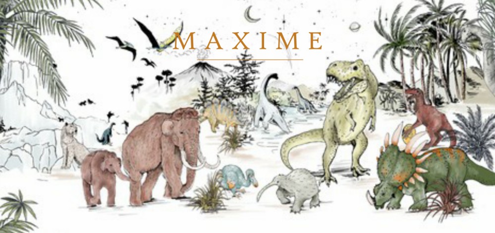 Geboortekaartje 'Prehistoric' van Annet Weelink Design