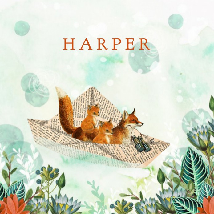 Geboortekaartje retro avontuur boot met vosjes