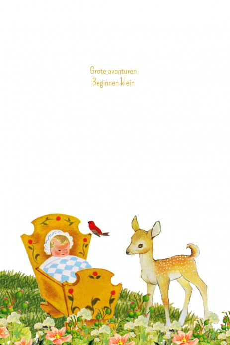 kaart binnenzijde links