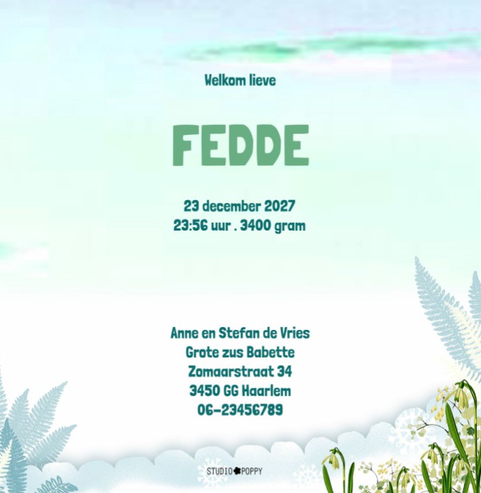 Geboortekaartje winter in het bos met grote broer of zus bij de pasgeboren baby. Broer of zus mag natuurlijk niet ontbreken op het geboortekaartje. De sneeuw met sneeuwklokjes maakt het een illustratief geboortekaartje. Vraag eens de gratis proefdruk op.