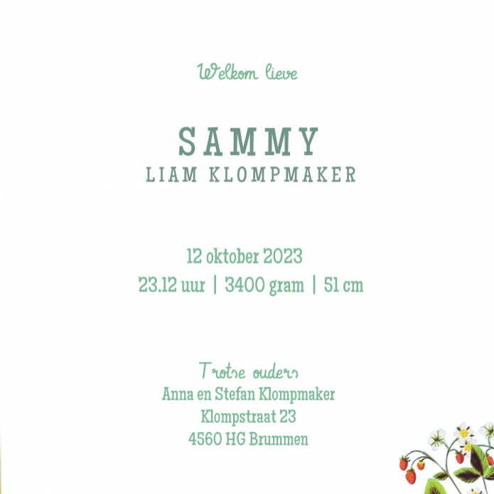 Retro geboortekaartje dieren en baby in wieg, een heel illustratief geboortekaartje waar je zelf items aan toe kunt voegen of kunt weghalen. Experimenteer ook zelf eens met de kleuren. Een gratis retro geboortekaartje als proefkaart laat zien dat wij uits