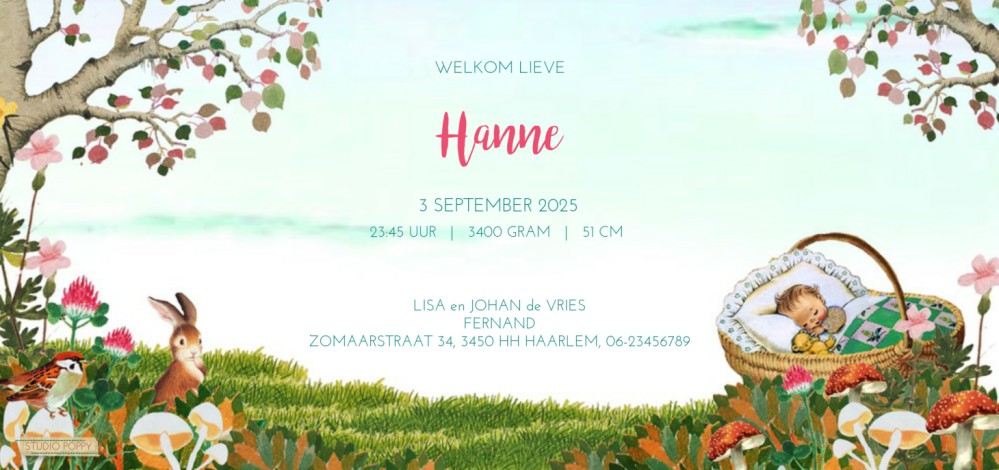 Geboortekaartje retro herfst bos met wiegje. De herfst is ingetreden en overal zie je paddestoelen staan. Leuk voor wanneer jullie kindje in de herfst maanden geboren zal worden. Retro geboortekaartje in het bos is een illustratief geboortekaartje dat zek