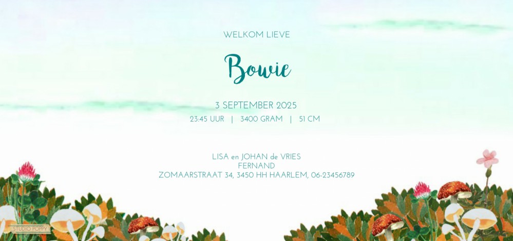 Retro geboortekaartje met lieve plaatjes van vroeger. Aandoenlijke en nostalgische verhaaltjes om jullie kindje aan te kondigen. Lief geboortekaartje met vintage vleugje dat toch ook tijdloos is. Maak eens een proefkaart en gebruik de beeldbank om jouw ei