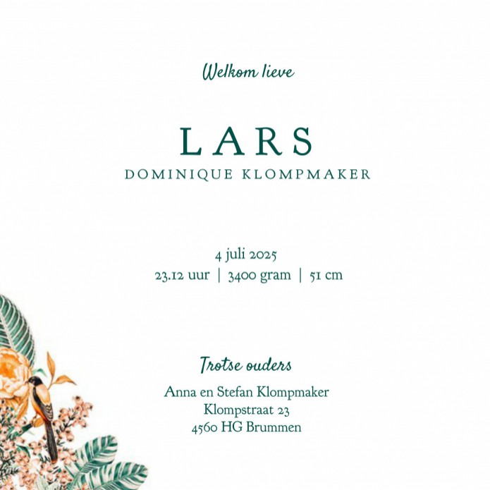 Geboortekaartje retro jungle Volkswagen is een heel vrolijk illustratief geboortekaartje! Tijdloos en grappig om het de geboorte van jullie kindje mee aan te kondigen. Maak gebruik van de handige designtool om jouw eigen teksten te plaatsen. Ben je tevred