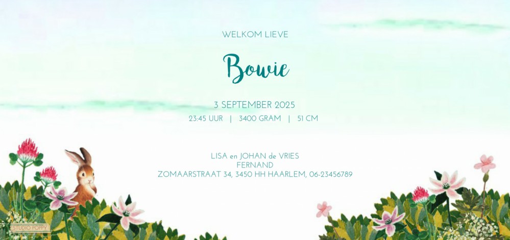 Retro geboortekaartje met lieve plaatjes van vroeger. Aandoenlijke en nostalgische verhaaltjes om jullie kindje aan te kondigen. Lief geboortekaartje met vintage vleugje dat toch ook tijdloos is. Maak eens een proefkaart en gebruik de beeldbank om jouw ei