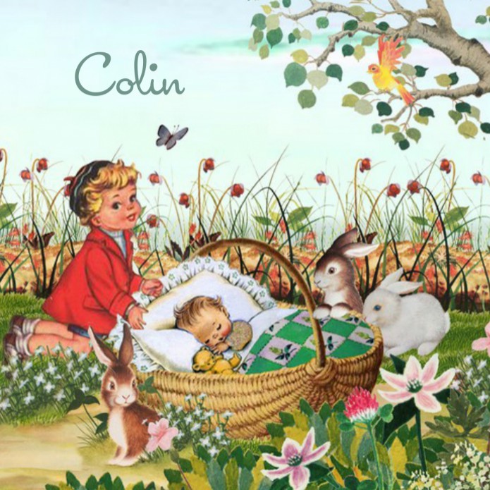 Geboortekaartje retro met baby in mandje met broer of zus