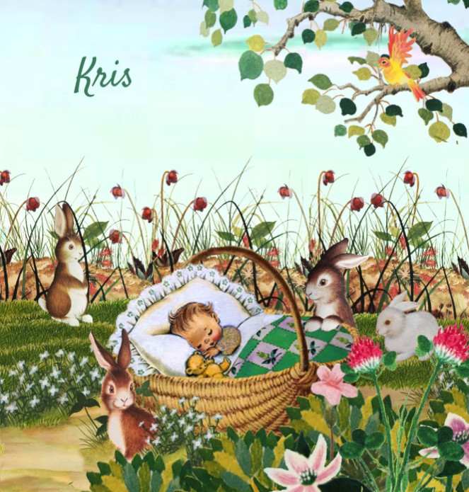 Geboortekaartje retro met baby in mandje