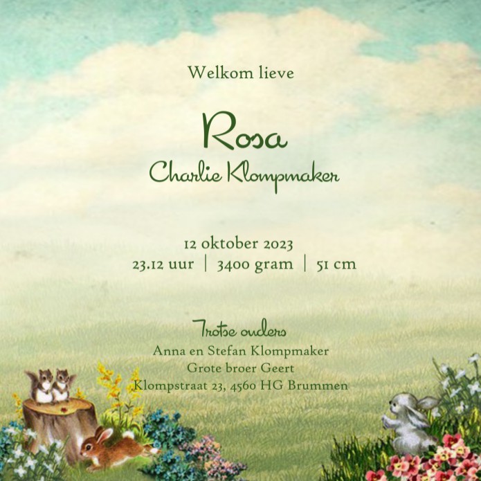 Een lief retro geboortekaartje met schommel wiegje in de tuin. De dieren zoals een hertje en konijn komen een kijkje nemen. Een lief tafereeltje voor als je van een zoet geboortekaartje houdt.