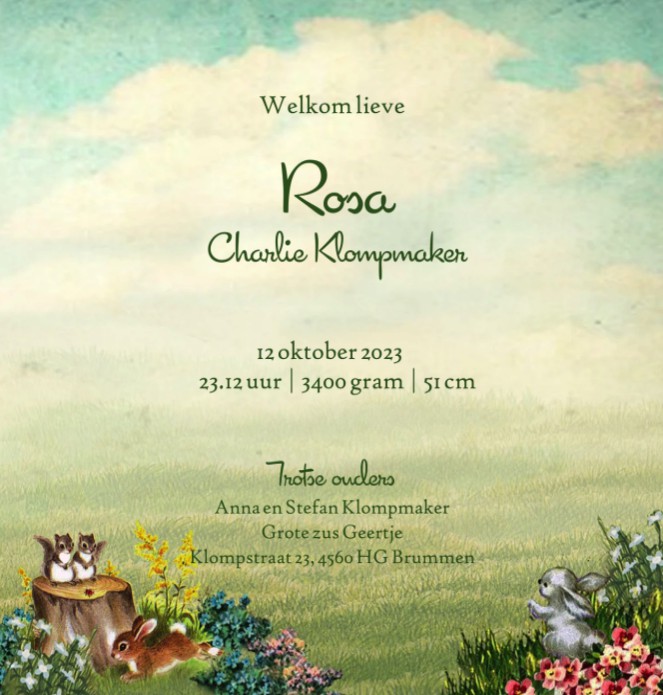 Lief geboortekaartje in retro stijl met baby in wiegje. De grote zus mag niet ontbreken en staat in de tuin te kijken naar het pasgeboren broertje of zusje. De bosdieren hert en konijnen maken het een lief geboortekaartje.