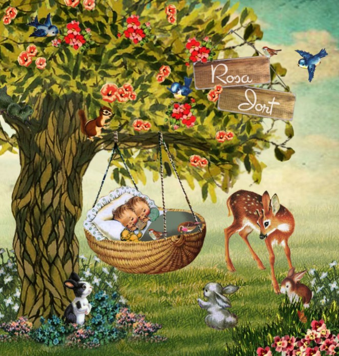 Geboortekaartje retro met tweeling in schommel wiegje bloemen tuin