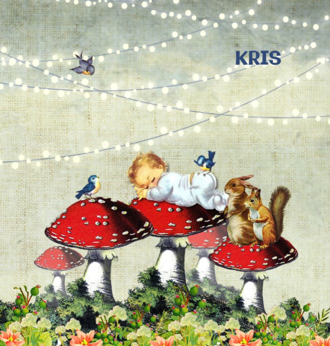 Geboortekaartje retro paddestoel