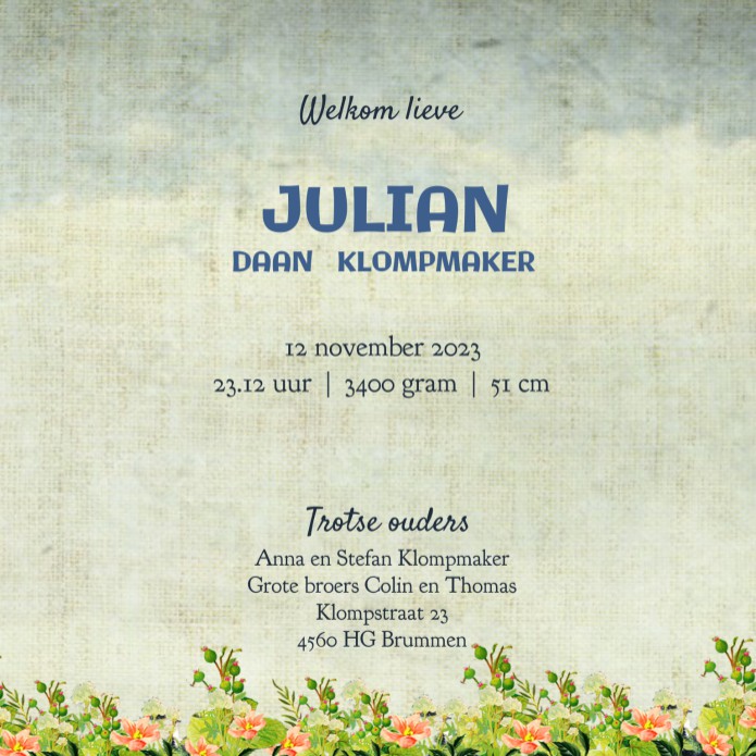 Geboortekaartje retro met paddenstoelen. De broertjes van de pasgeboren baby mogen ook op de kaart staan. Je kunt met behulp van de editor heel makkelijk een broer vervangen voor een zusje. Bestel eens de gratis proefkaart.