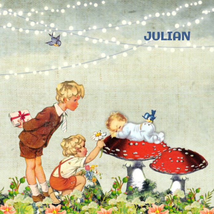 Geboortekaartje retro paddestoel twee broertjes