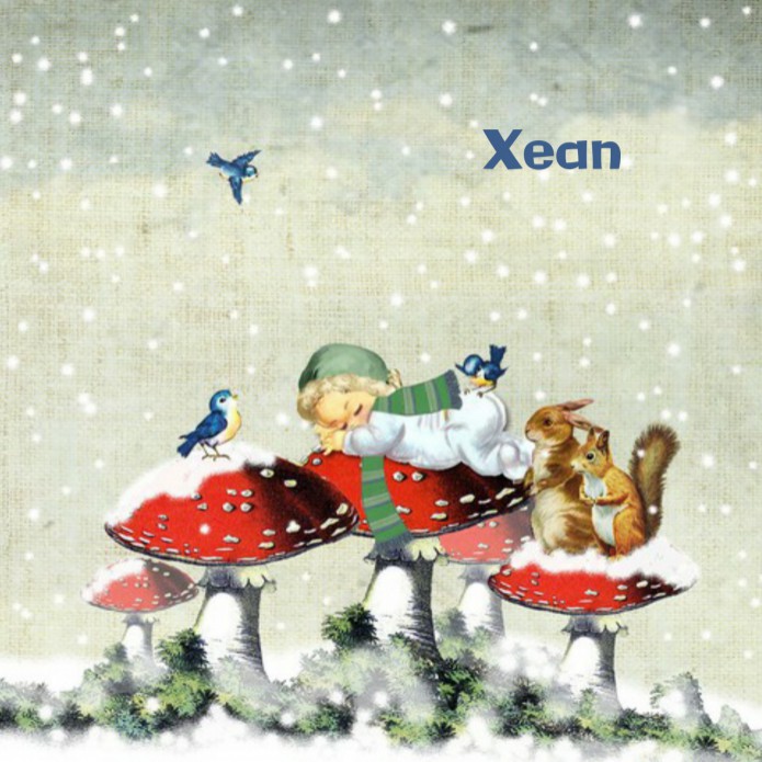 Geboortekaartje retro paddestoel winter bos