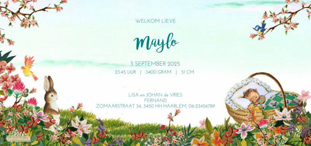 Geboortekaartje retro zomer bloemenveld met grote zus. illustratief geboortekaartje waar de vrolijkheid van af spat. Experimenteer ook zelf eens met de beeldbank. Een gratis proefkaartje laat zien dat wij uitstekende kwaliteit in huis hebben.