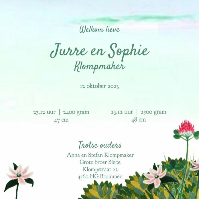 Geboortekaartje retro tweeling met broer of zus. Samen liggen ze in een mandje in de tuin. Omringd met fleurige bloemen en bomen, de konijnen huppelen er omheen. Broer mag niet ontbreken, maar we kunnen ook makkelijk nog een zus toevoegen.