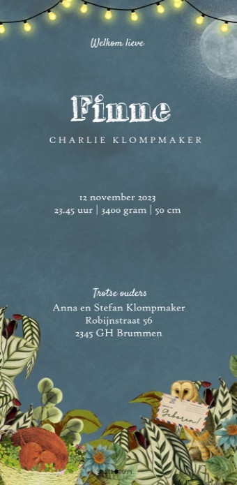 Geboortekaartje retro vintage winter bos eekhoorn. Aandoenlijke en nostalgische verhaaltjes om jullie kindje aan te kondigen. Lief geboortekaartje met vintage vleugje dat toch ook tijdloos is. Maak eens een proefkaart en gebruik de beeldbank om jouw eigen