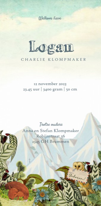 Retro vintage geboortekaartje eekhoorntjes staand formaat. Een vertederend lief geboortekaartje gedrukt op het beste papier. Bijzondere geboortekaartjes vind je bij Studio POPPY. Wij ontwerpen de geboortekaartjes zelf en zijn bijzonder met foliedruk en ha