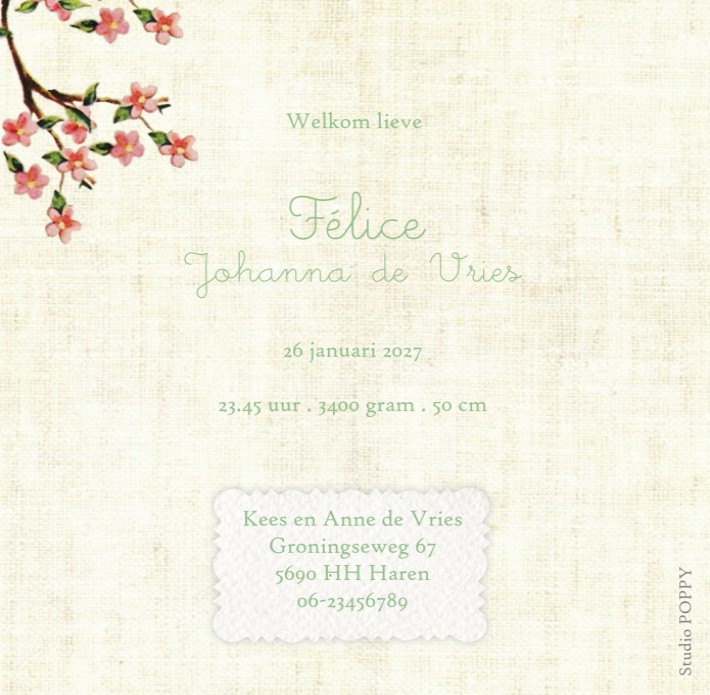 Geboortekaartje retro vintage met leuke vintage kraft details. Een wiegje met de twee grote zussen maken het een lief en schattig geboortekaartje. De retro afbeeldingen doen je denken aan de plaatjes van vroeger. Vraag eens een gratis proefkaart aan.