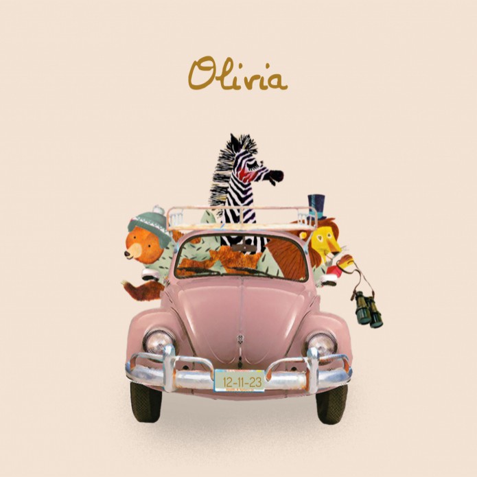 Geboortekaartje avontuur volkswagen