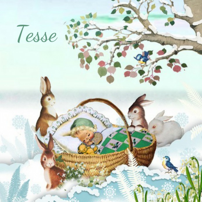 Geboortekaartje retro winter wiegje