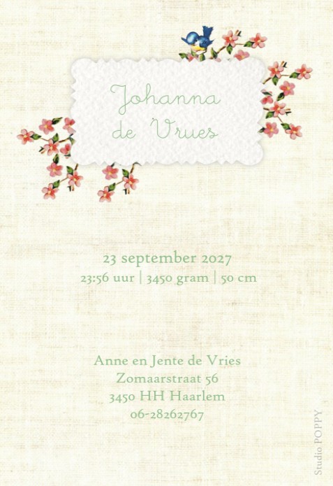 Geboortekaartje retro vintage met leuke vintage kraft details. Een wiegje met de twee grote zussen maken het een lief en schattig geboortekaartje. De retro afbeeldingen doen je denken aan de plaatjes van vroeger. Vraag eens een gratis proefkaart aan.