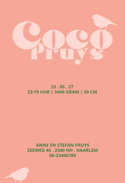 Hip geboortekaartje in heldere warme kleuren. Grootse vormen voor een groots effect. De ronde hoeken maken het een bijzonder geboortekaartje voor jullie baby. Kleuren veranderen is geen enkel probleem met de editor. Ook het lettertype kun je makkelijk zel