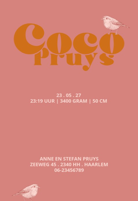 Hip geboortekaartje in heldere warme kleuren. Grootse vormen voor een groots effect. De ronde hoeken maken het een bijzonder geboortekaartje voor jullie baby. Kleuren veranderen is geen enkel probleem met de editor. Ook het lettertype kun je makkelijk zel