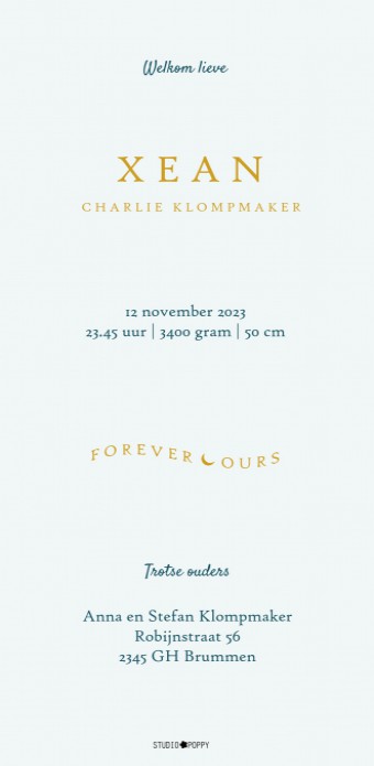 Prachtig sereen en tijdloos geboortekaartje jungle in mono tinten. Hier is gekozen voor vintage blauw. Op een eigentijdse manier vormgegeven door gebruik te maken van folie of kleuren van deze tijd. Er zijn veel jungle kaartjes om tussen te kiezen, maak e