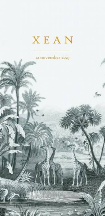 Geboortekaartje vintage blauw jungle