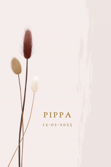 Geboortekaartje roze met droogbloemen