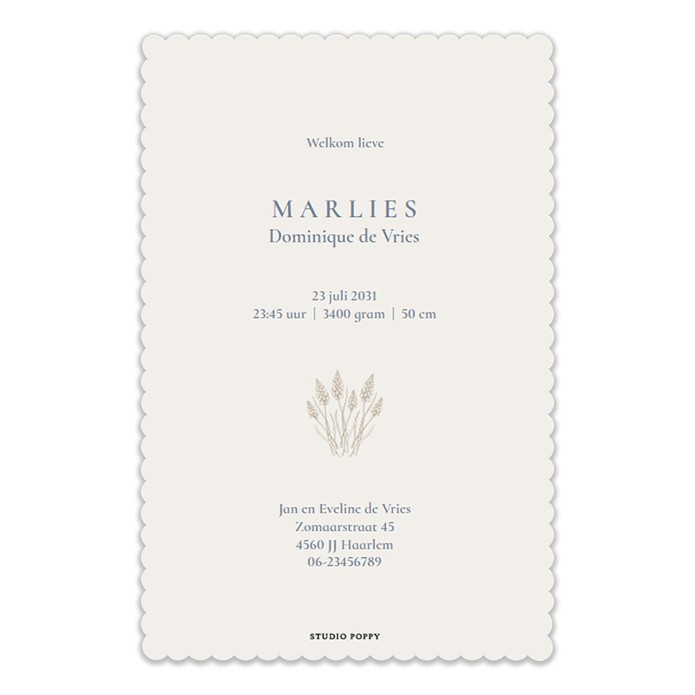 Geboortekaartje sereen maar wel met een prachtige illustratie en in bijzondere vorm. Het schulprandje matcht prachtig met de monotoon afbeelding van boerderij leven met schaap en geit en kindje in een mandje.