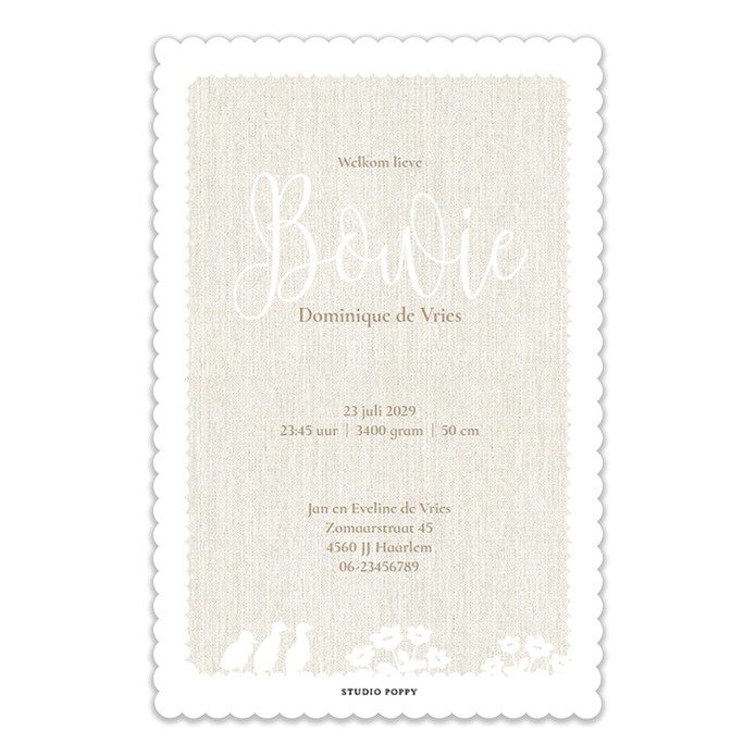 Een heel bijzonder off-set look geboortekaartje met ooievaar en wolkjes. Een illustratief silhouette geboortekaartje met achtergrondkleuren die aan te passen zijn. De ooievaar heeft een knapzak met de gegevens van jullie babietje.