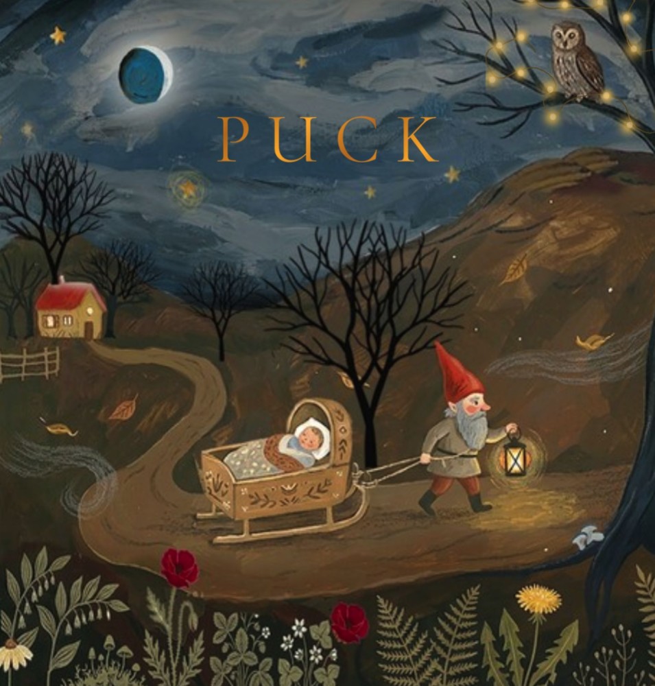 Geboortekaartje sprookjeswereld met kabouter en sterren