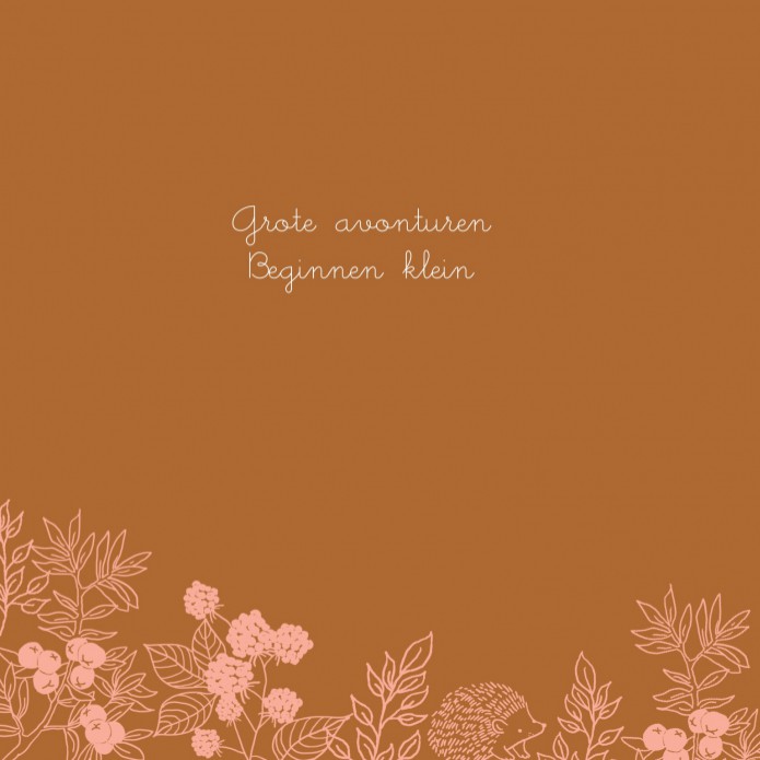 kaart binnenzijde links