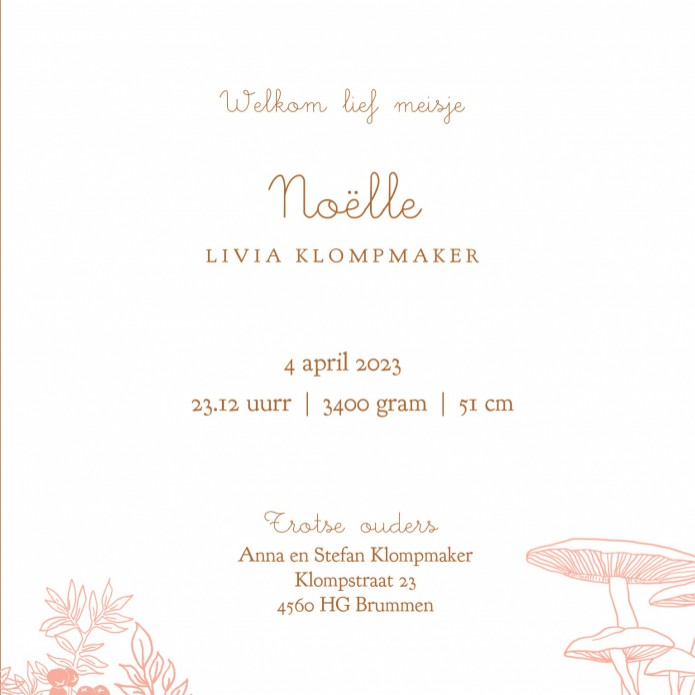 kaart binnenzijde rechts