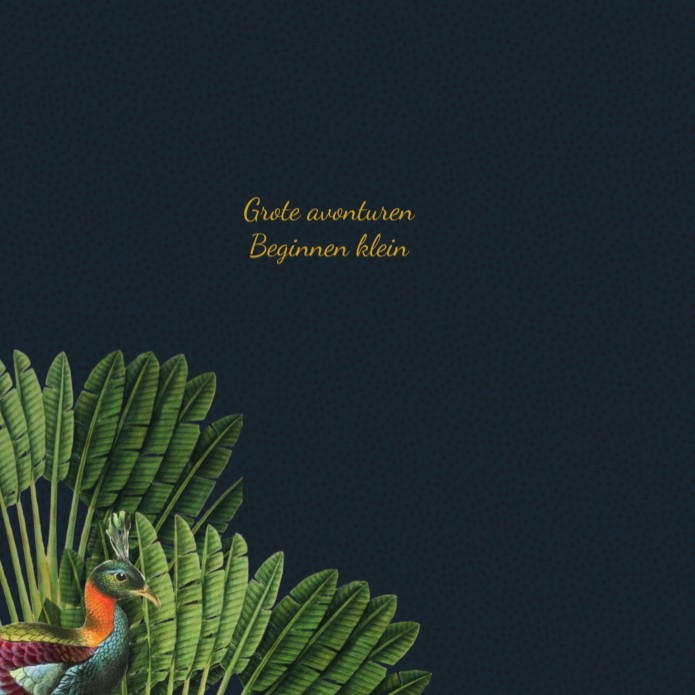 kaart binnenzijde links